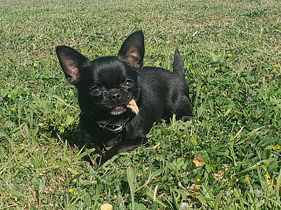Kenia, esta pequeña vive feliz en Barcelona 