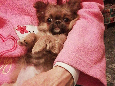 Image00003.